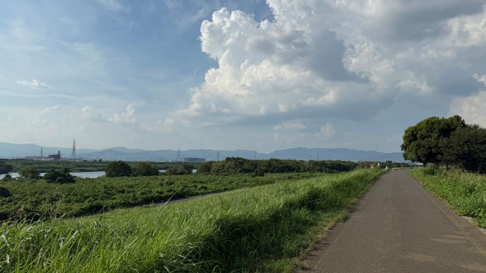 画像タイトル